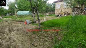 House Gabrovtsi, region Veliko Tarnovo 13