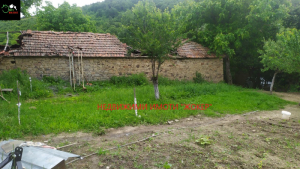 Hus Gabrovtsi, region Veliko Tarnovo 3