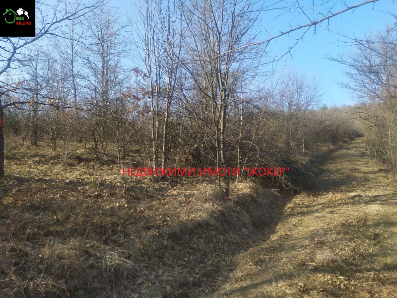 Продава  Land region Weliko Tarnowo , Wojnescha , 4000 дка | 63962792 - изображение [3]