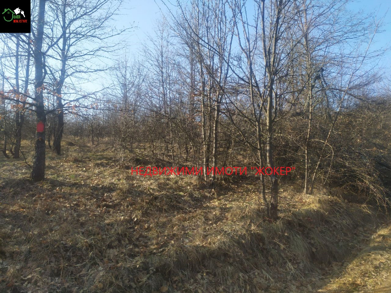 Продава  Land region Weliko Tarnowo , Wojnescha , 4000 дка | 63962792 - изображение [6]