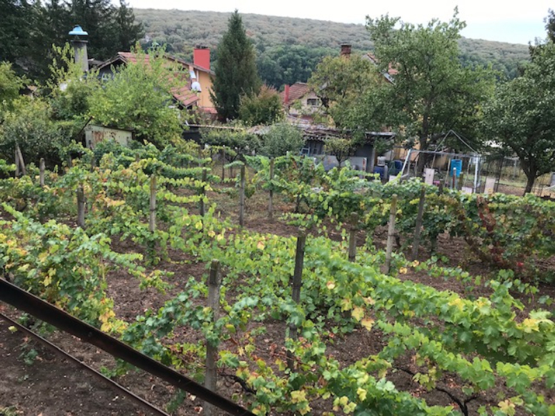 Na sprzedaż  Willa region Ruse , Nikolowo , 56 mkw | 57120215 - obraz [13]