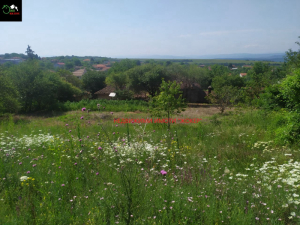 Trama Belyakovets, región Veliko Tarnovo 1