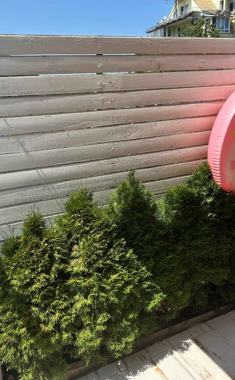 Satılık  Stüdyo bölge Burgaz , Primorsko , 31 metrekare | 63490236 - görüntü [8]