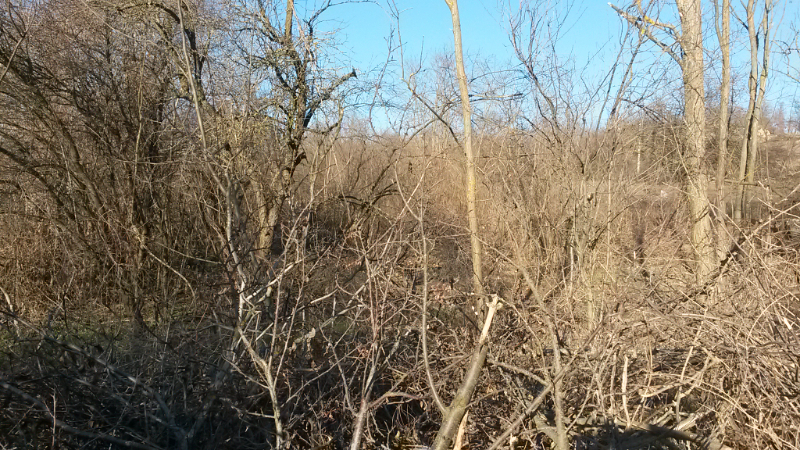 For Sale  Plot region Varna , Shtipsko , 1042 sq.m | 16630338 - image [3]