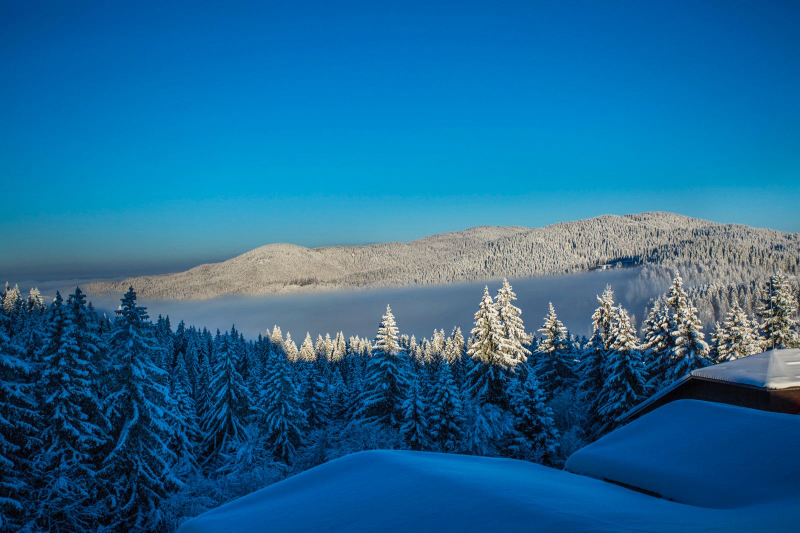Til salg  2 soveværelser region Smolyan , k.k. Pamporovo , 73 kvm | 60242688 - billede [4]