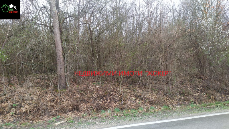 Til salg  Jord region Veliko Tarnovo , Kilifarevo , 23716 dka | 99693605 - billede [8]