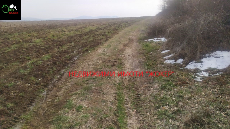 Til salg  Jord region Veliko Tarnovo , Kilifarevo , 23716 dka | 99693605 - billede [6]