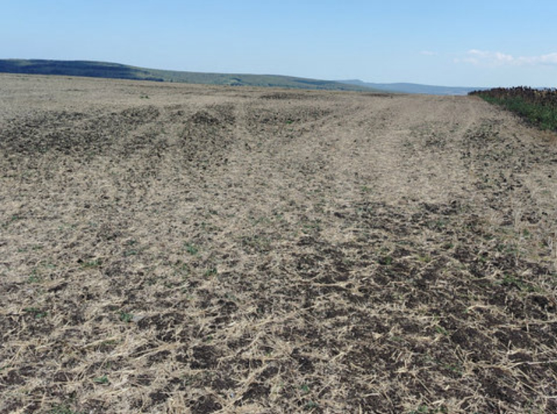 Na prodej  Spiknutí oblast Burgas , Bata , 10500 m2 | 23821100 - obraz [2]
