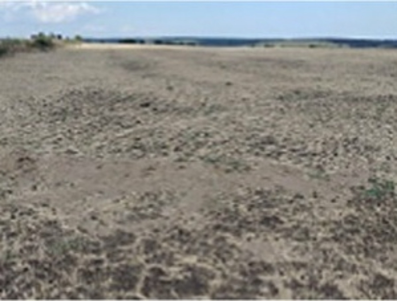 Na prodej  Spiknutí oblast Burgas , Bata , 10500 m2 | 23821100