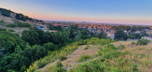 Grund Parvenets, region Plovdiv