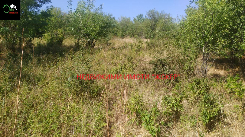 Satılık  Komplo bölge Veliko Tarnovo , Rodina , 2885 metrekare | 99831385 - görüntü [4]