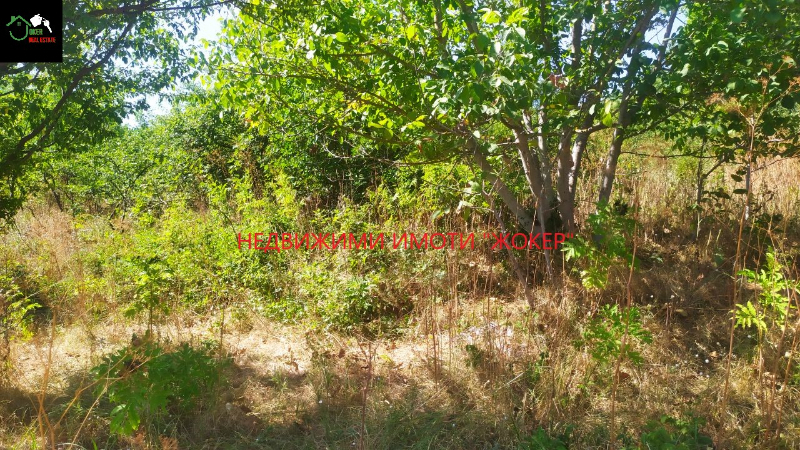 Satılık  Komplo bölge Veliko Tarnovo , Rodina , 2885 metrekare | 99831385 - görüntü [6]