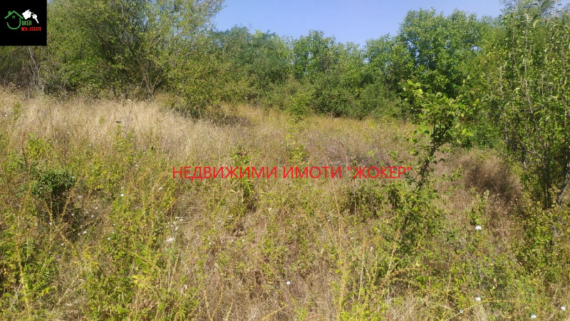 Satılık  Komplo bölge Veliko Tarnovo , Rodina , 2885 metrekare | 99831385 - görüntü [3]