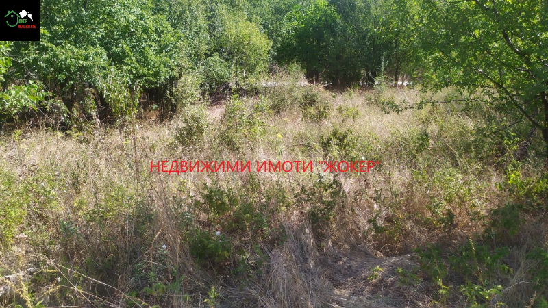 Satılık  Komplo bölge Veliko Tarnovo , Rodina , 2885 metrekare | 99831385 - görüntü [5]