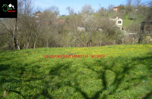 Działka Wojneża, region Wielkie Tyrnowo 4