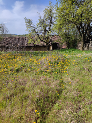 Casa Prisovo, regiunea Veliko Tarnovo 8