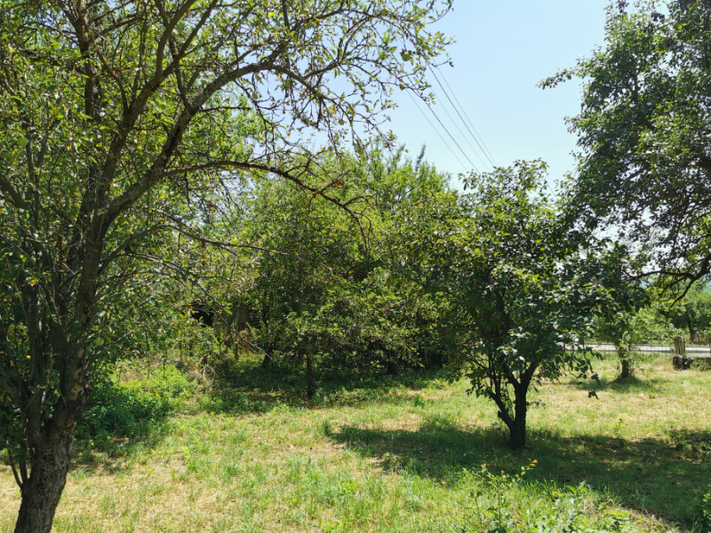 En venta  Trama región Pernik , Turokovtsi , 1150 metros cuadrados | 93824162 - imagen [6]