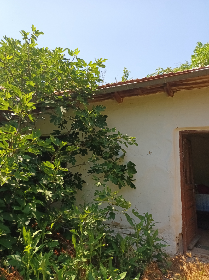 Προς πώληση  σπίτι περιοχή Dobrich , Προλεζ , 80 τ.μ | 87042690