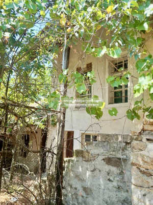 Hus Dinevo, region Haskovo