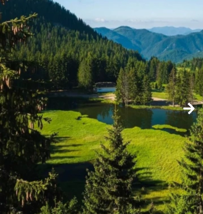 Na prodej  Spiknutí oblast Smolyan , k.k. Pamporovo , 332 m2 | 61481883 - obraz [15]