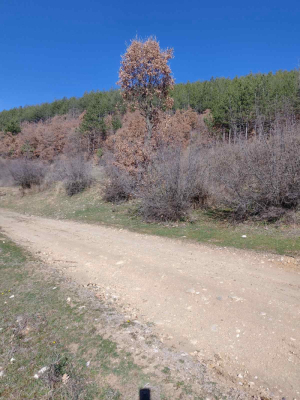 Γη Σημητλη, περιοχή Μπλαγκόεβγκραντ 2