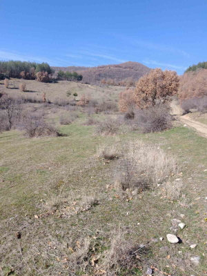 Γη Σημητλη, περιοχή Μπλαγκόεβγκραντ 1