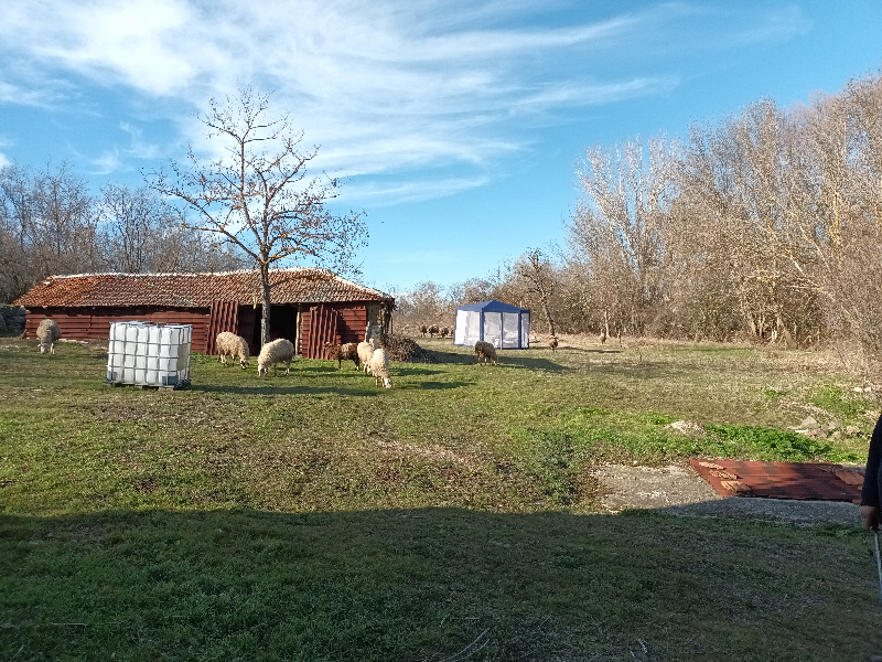 Na sprzedaż  Dom region Burgas , Zornica , 120 mkw | 57475731 - obraz [12]