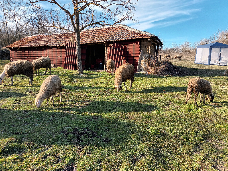Na sprzedaż  Dom region Burgas , Zornica , 120 mkw | 57475731 - obraz [17]