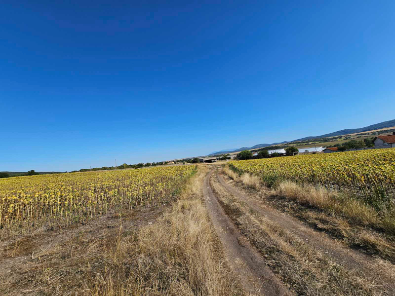 Na sprzedaż  Działka region Sofia , Aldomirowci , 8271 mkw | 20563778 - obraz [3]