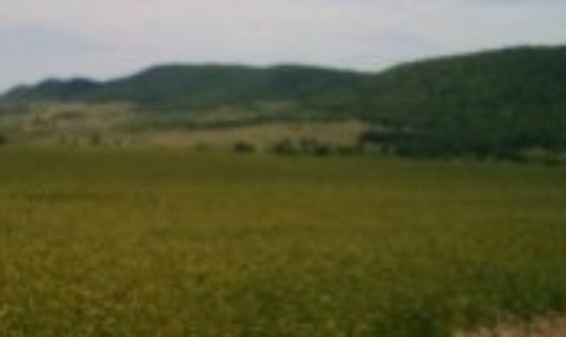 Til salg  Grund region Burgas , Medovo , 18000 kvm | 17387293