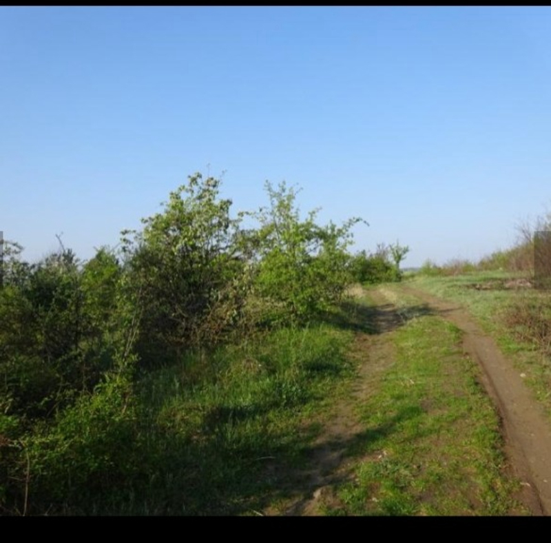 Til salgs  Plott Veliko Tarnovo , Buzludsja , 7726 kvm | 22552810 - bilde [15]