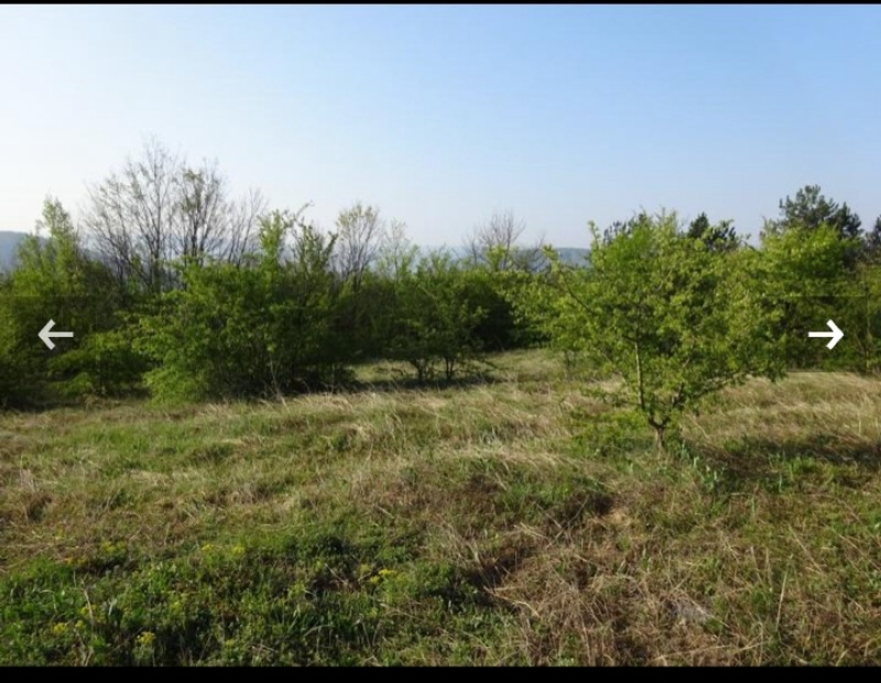 Til salgs  Plott Veliko Tarnovo , Buzludsja , 7726 kvm | 22552810 - bilde [6]